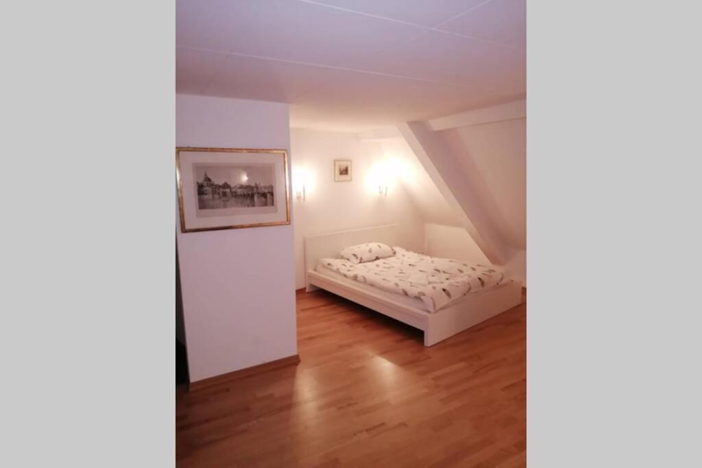 Studio F Am Barfusserplatz Central Old Town Daire Basel Dış mekan fotoğraf